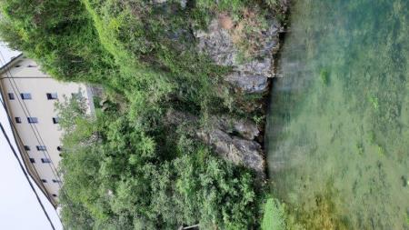 3500527 izvirov reke Vipave 2